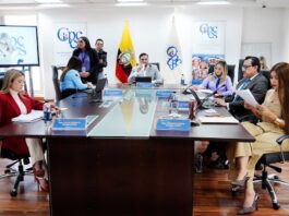 Precandidatos a consejeros de Participación Ciudadana tienen hasta el lunes para defenderse de las denuncias | Política | Noticias