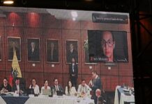 Inés Manzano compareció de forma telemática al inicio de la práctica de pruebas del juicio político | Política | Noticias