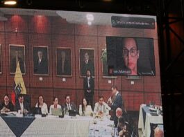 Inés Manzano compareció de forma telemática al inicio de la práctica de pruebas del juicio político | Política | Noticias