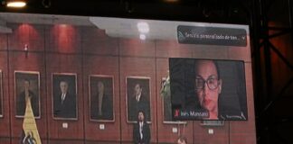 Inés Manzano compareció de forma telemática al inicio de la práctica de pruebas del juicio político | Política | Noticias