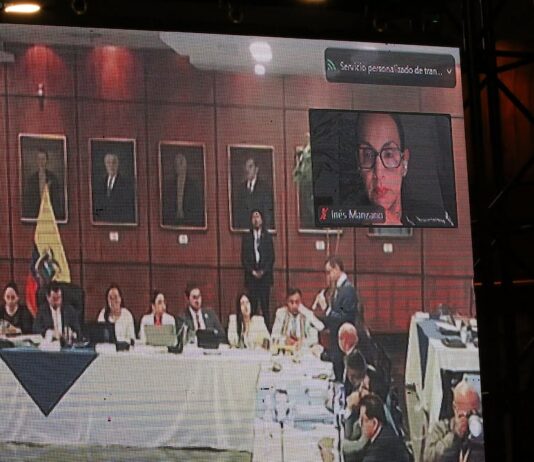 Inés Manzano compareció de forma telemática al inicio de la práctica de pruebas del juicio político | Política | Noticias