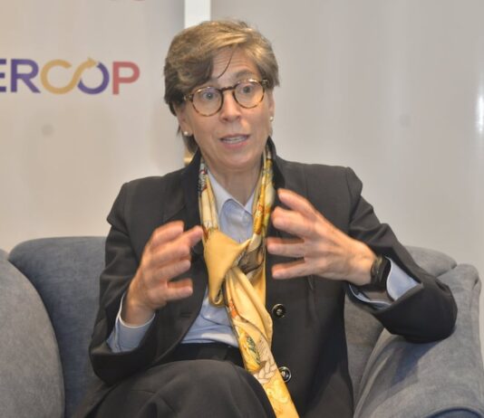 Paca Zuleta, experta en contratación pública: ‘Las reformas no se hacen de un día para otro… Ecuador va por el camino correcto’ | Política | Noticias