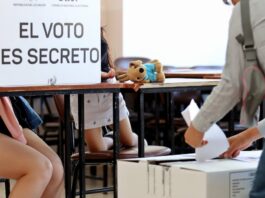 13′827.643 ecuatorianos están convocados a votar en las seccionales del 29 de noviembre | Política | Noticias