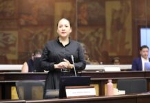 Ana María Raffo: suspensión de nueve días responde a una represalia política | Política | Noticias