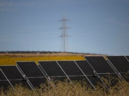 Bruselas propone duplicar el uso de electricidad de la Unión Europea para 2040 | Economía