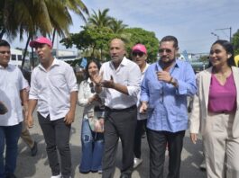 Más precandidaturas a prefecturas se definieron en las provincias al cierre de las primarias | Política | Noticias