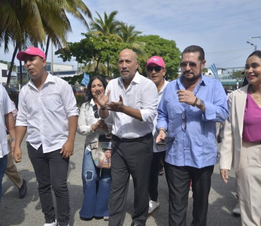 Más precandidaturas a prefecturas se definieron en las provincias al cierre de las primarias | Política | Noticias