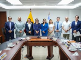 María José Pinto instala el Comité Nacional de Primera Infancia y aprueba sus primeros lineamientos | Política | Noticias