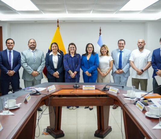 María José Pinto instala el Comité Nacional de Primera Infancia y aprueba sus primeros lineamientos | Política | Noticias