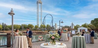 Primavera en la naturaleza en los eventos corporativos